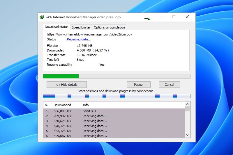 internet download manager (IDM)