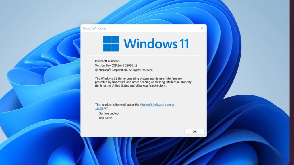 Windows 11 details