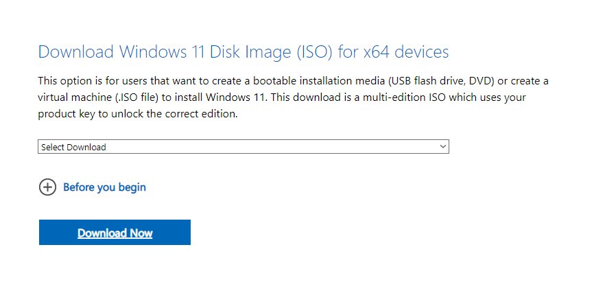 download Windows 11 Disk Image from Microsoft