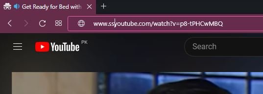 youtube ss url